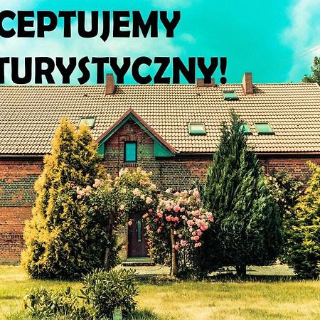 Chata Na Koncu Swiata Czaplin Maly Экстерьер фото