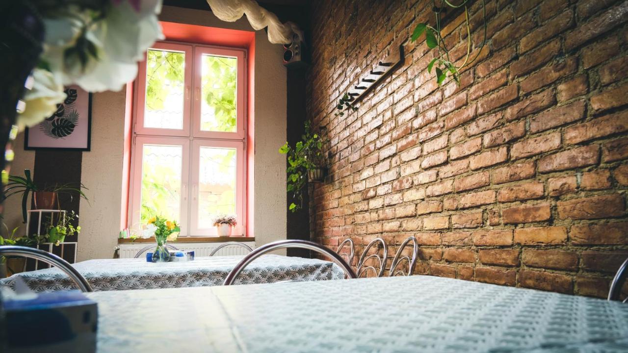 Chata Na Koncu Swiata Czaplin Maly Экстерьер фото